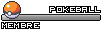 Pokeball Pokeball